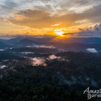 3D2N Danum Valley Expedition with INFAPRO Conservation Stay