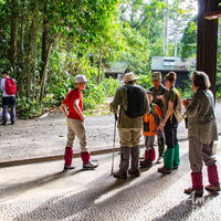 3D2N Borneo Rainforest Lodge