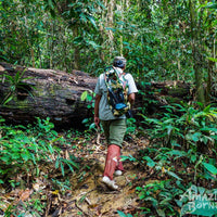 5D4N Danum Valley Expedition with INFAPRO Reforestation Stay