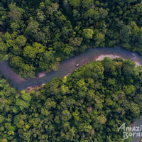 5D4N Danum Valley Birdwatching with INFAPRO Conservation Stay