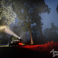 3D2N Borneo Rainforest Lodge & Blue Rings Reef – Danum Valley Eco-Adventure