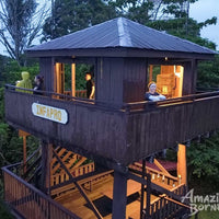 4D3N Danum Valley Wildlife Adventure with INFAPRO Reforestation Stay