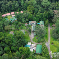 5D4N Wings & Wonder: Bird Watching Tour at Danum Valley Field Centre