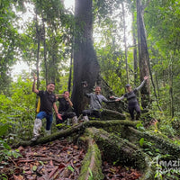 5D4N Danum Valley Birdwatching with INFAPRO Conservation Stay