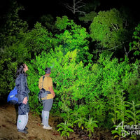 3D2N Danum Valley Field Centre