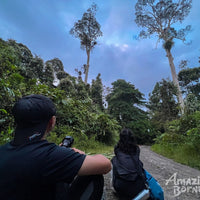 5D4N Wings & Wonder: Bird Watching Tour at Danum Valley Field Centre