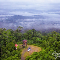 5D4N Danum Valley Birdwatching with INFAPRO Conservation Stay