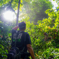 5D4N Danum Valley Birdwatching with INFAPRO Conservation Stay