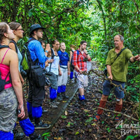 5D4N Wings & Wonder: Bird Watching Tour at Danum Valley Field Centre