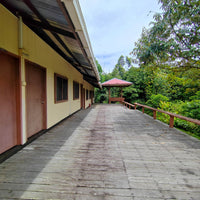 4D3N Danum Valley Wildlife Adventure with INFAPRO Reforestation Stay