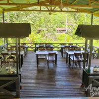 4D3N Danum Valley Wildlife Adventure with INFAPRO Reforestation Stay