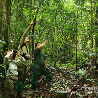 3D2N Borneo Rainforest Lodge Wellness Retreat