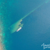 3D2N Borneo Rainforest Lodge & Blue Rings Reef – Danum Valley Eco-Adventure