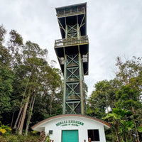 5D4N Borneo Rainforest Lodge & Blue Rings Reef – Danum Valley Immersion