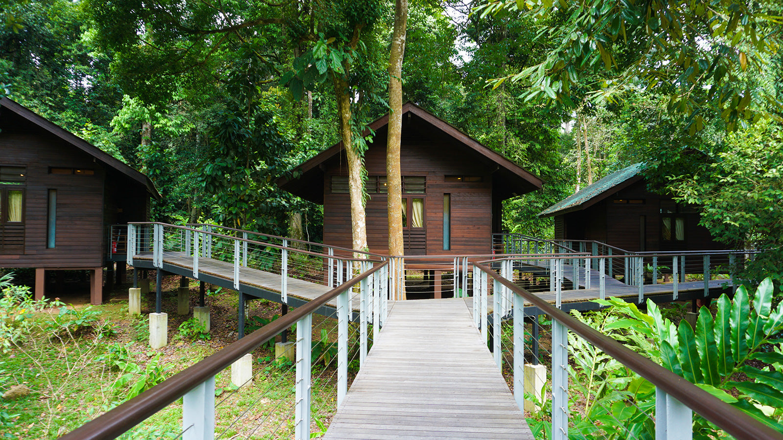 Borneo Rainforest Lodge Danum Valley