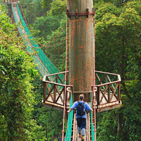 4D3N Borneo Rainforest Lodge - Danum Valley Rainforest Lodge