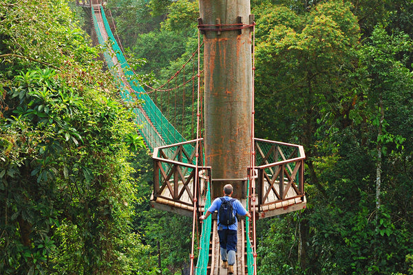 4D3N Borneo Rainforest Lodge - Danum Valley Rainforest Lodge
