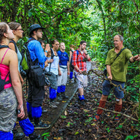 3D2N Danum Valley Field Centre - Danum Valley Rainforest Lodge
