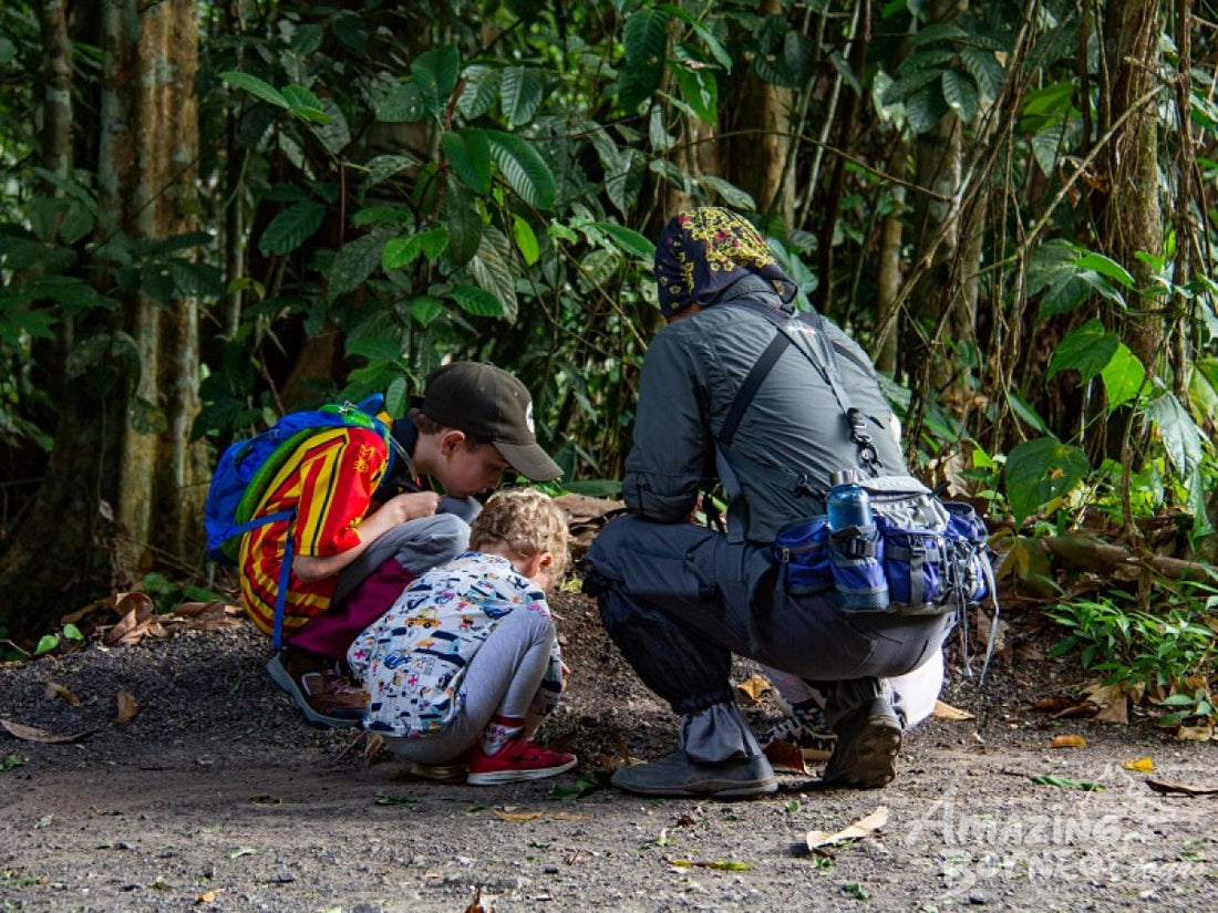 4D3N Borneo Rainforest Lodge