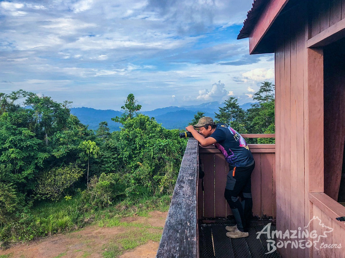 5D4N Wings & Wonder: Bird Watching Tour at Danum Valley Field Centre