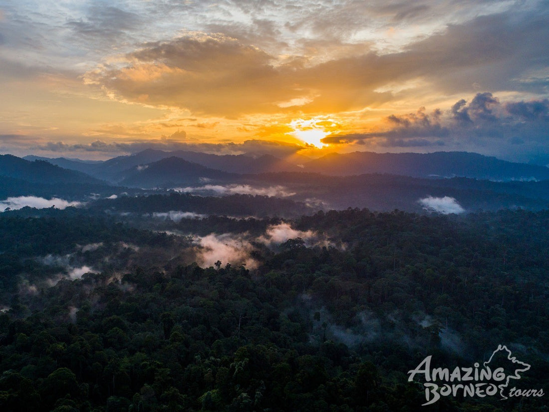3D2N Danum Valley Expedition with INFAPRO Conservation Stay