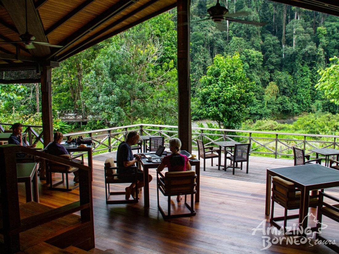 3D2N Borneo Rainforest Lodge