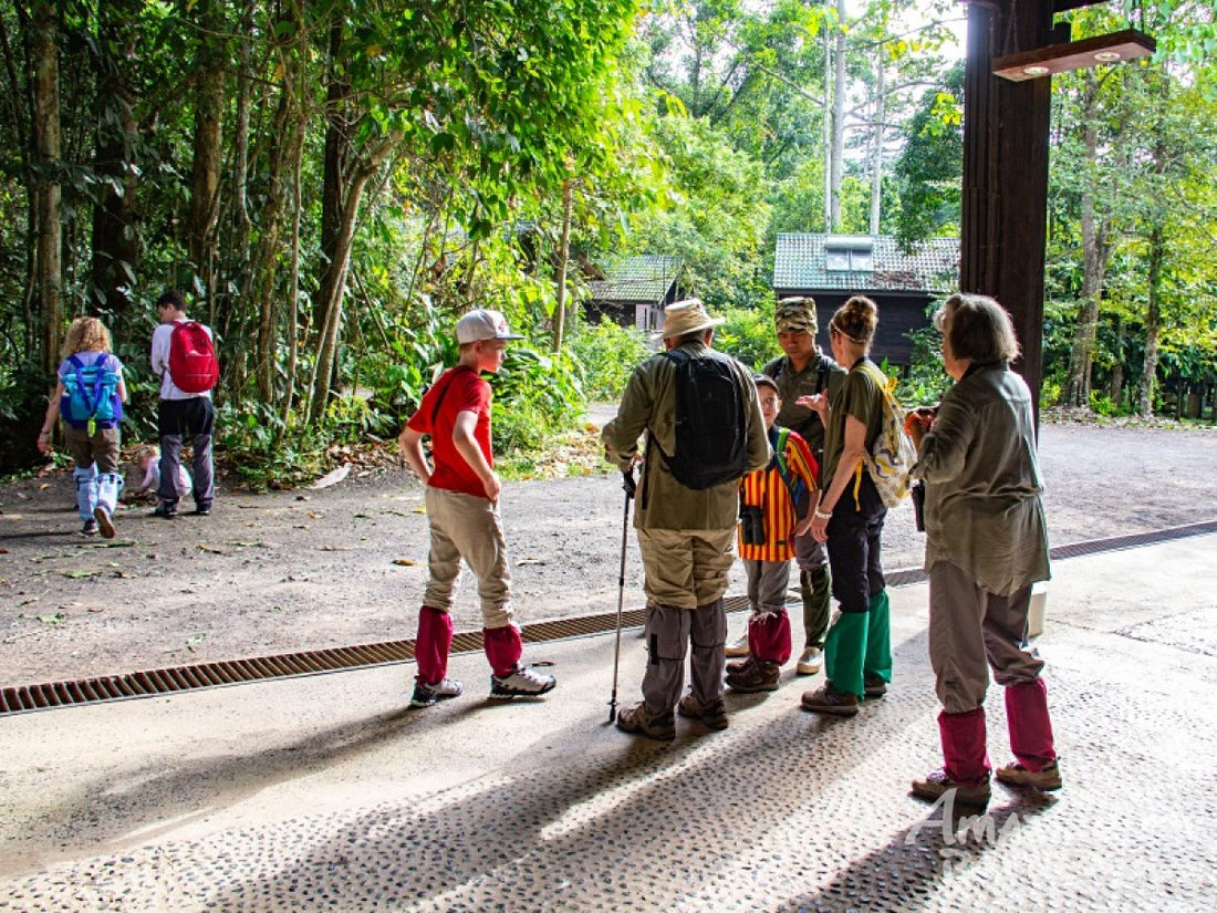 3D2N Borneo Rainforest Lodge