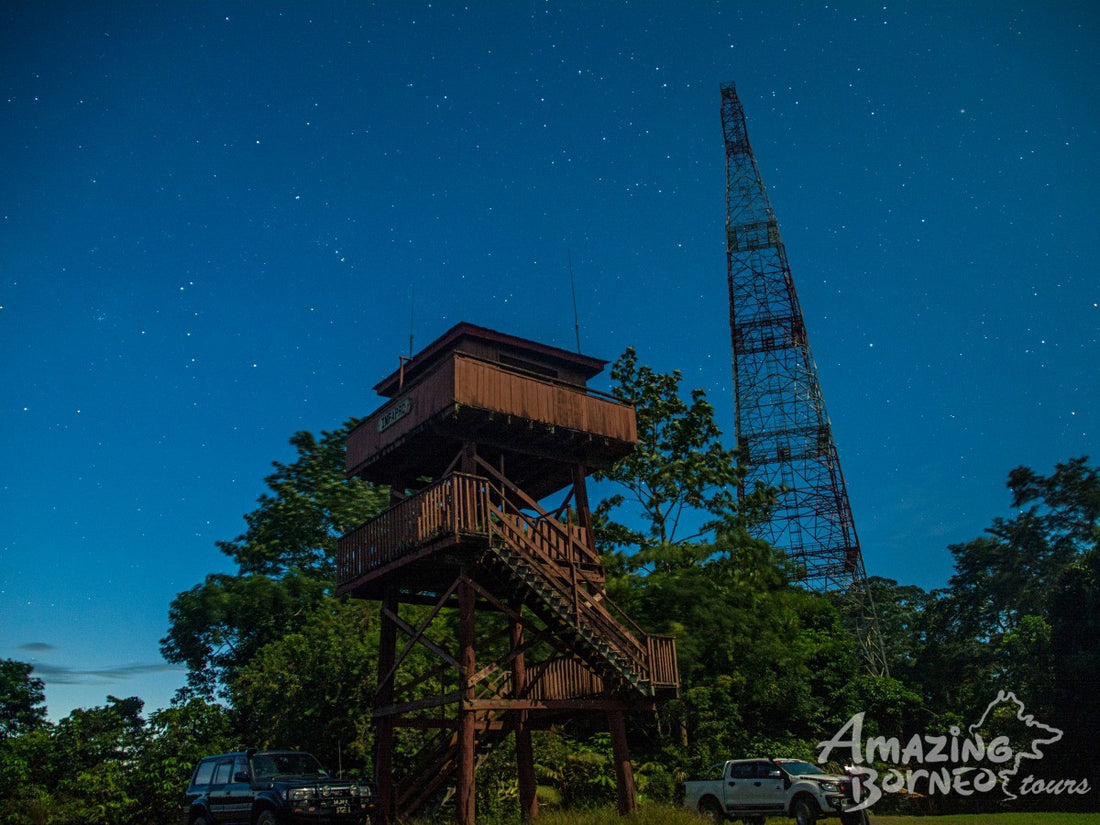 5D4N Danum Valley Field Centre – Nature Lover Experience (Budget)