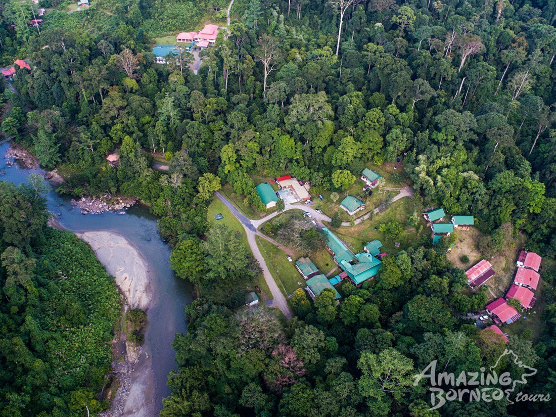 3D2N Danum Valley Field Centre