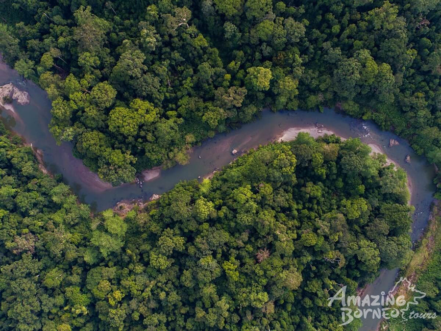 5D4N Danum Valley Field Centre – Nature Lover Experience (Budget)