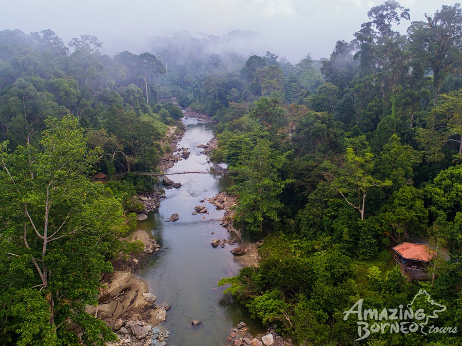 3D2N Danum Valley Expedition with INFAPRO Conservation Stay