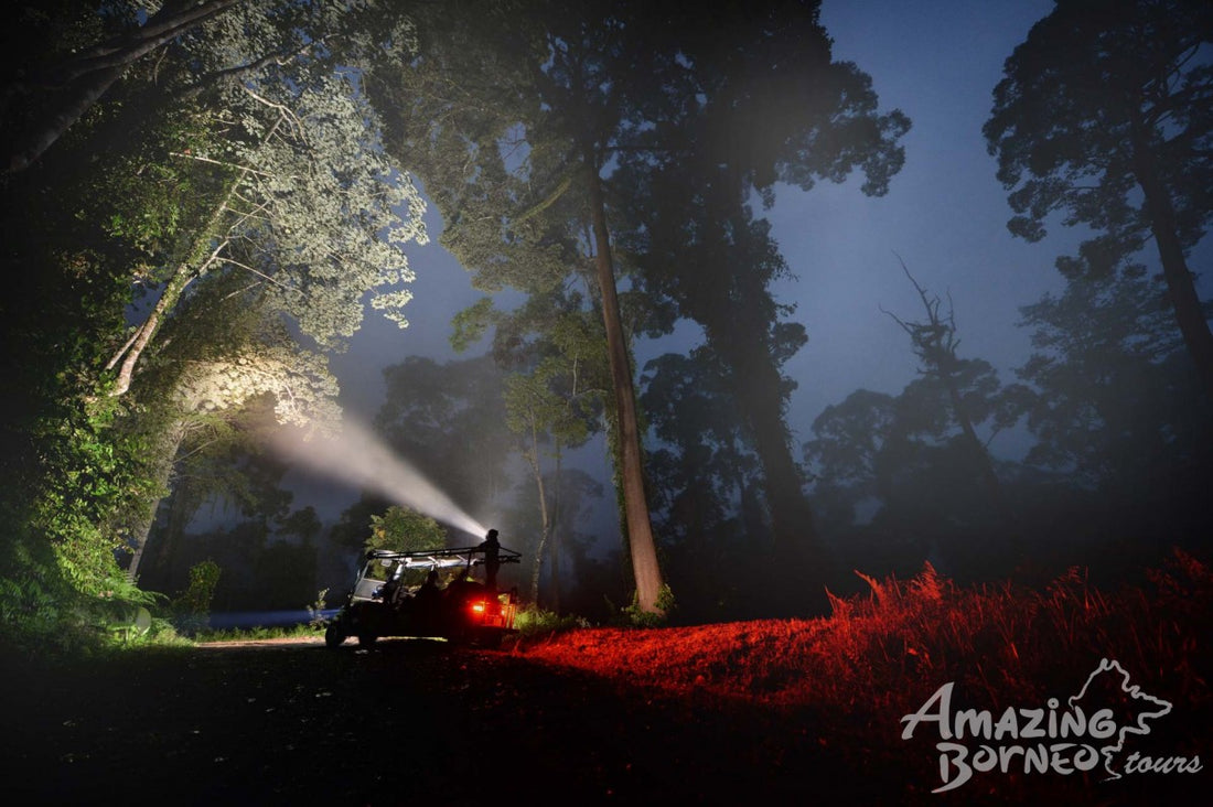 3D2N Borneo Rainforest Lodge & Blue Rings Reef – Danum Valley Eco-Adventure