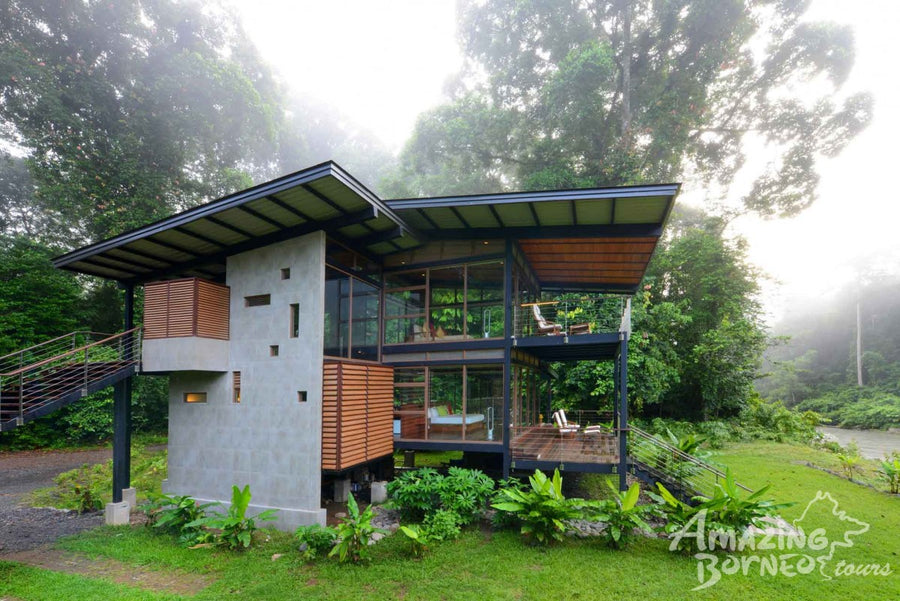 4D3N Blue Rings Reef & Borneo Rainforest Lodge – Danum Valley Discovery
