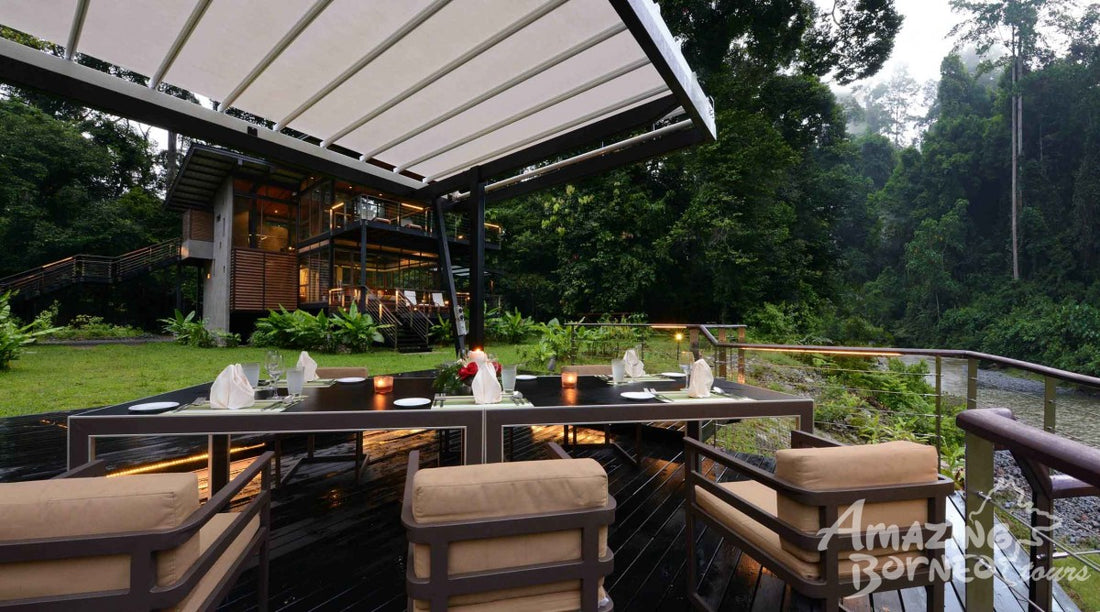 3D2N Borneo Rainforest Lodge Wellness Retreat