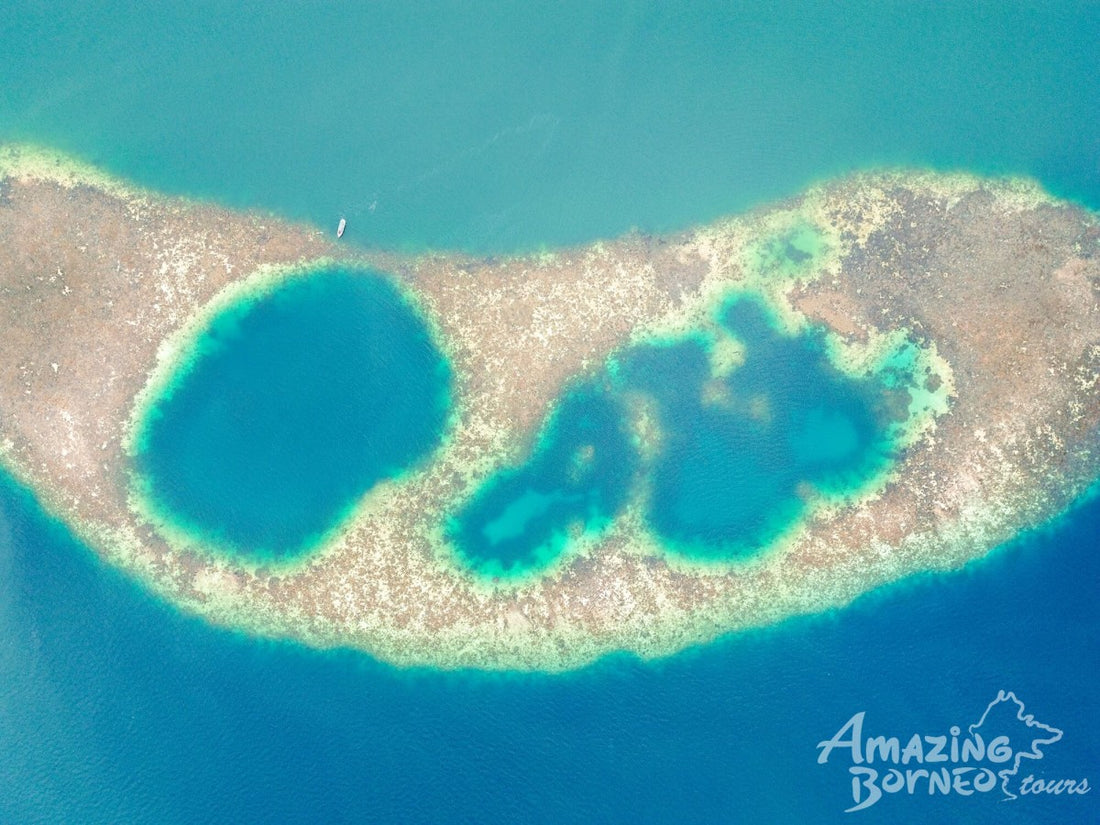 4D3N Borneo Rainforest Lodge & Blue Rings Reef – Danum Valley Discovery