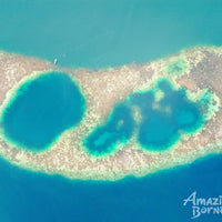 4D3N Borneo Rainforest Lodge & Blue Rings Reef – Danum Valley Discovery