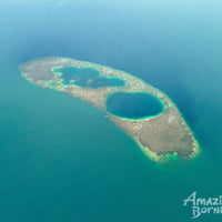 3D2N Blue Rings Reef & Borneo Rainforest Lodge – Danum Valley Eco-Adventure