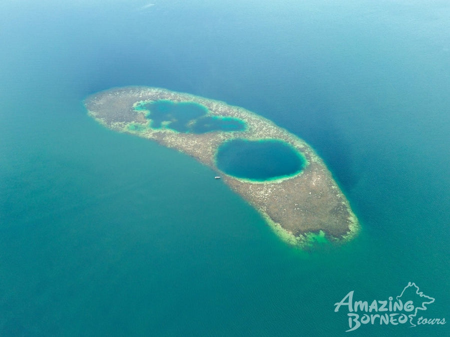 3D2N Blue Rings Reef & Borneo Rainforest Lodge – Danum Valley Eco-Adventure