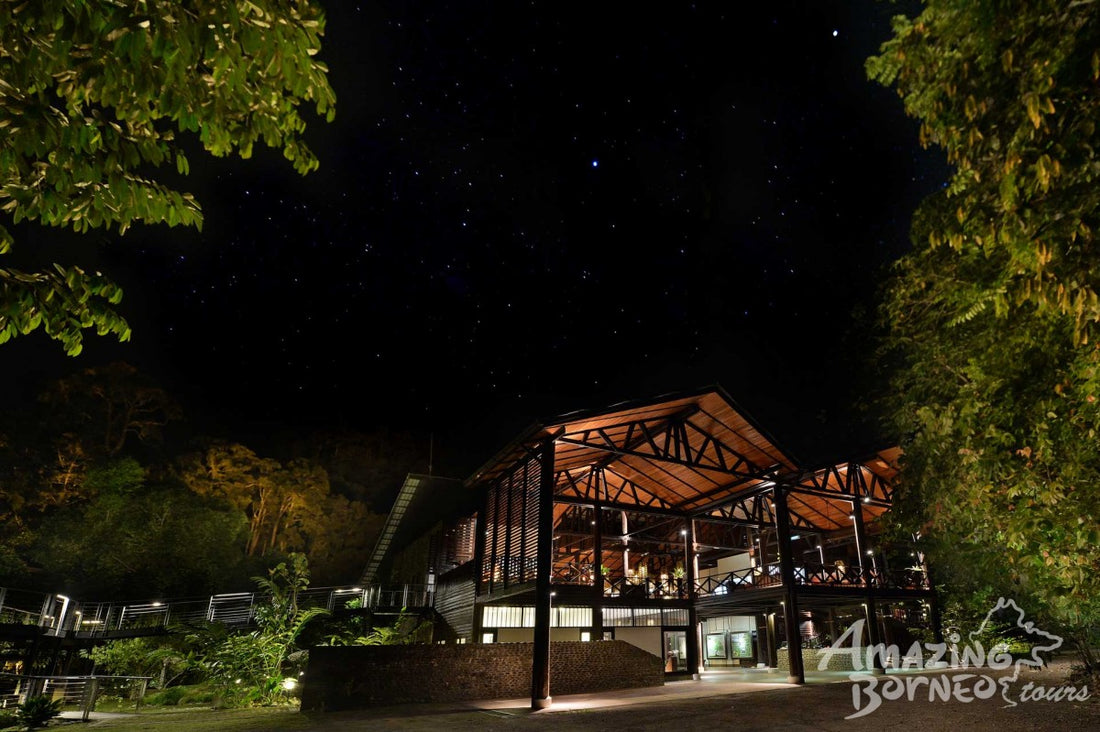 4D3N Borneo Rainforest Lodge