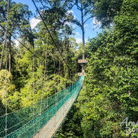 3D2N Blue Rings Reef & Borneo Rainforest Lodge – Danum Valley Eco-Adventure