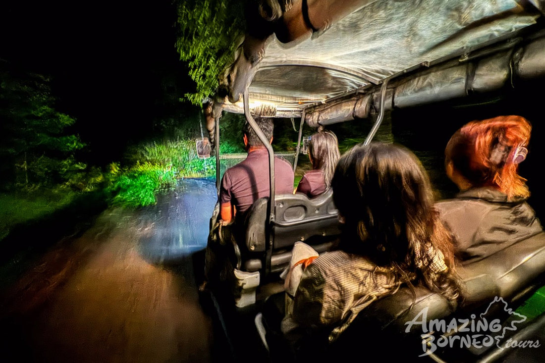 3D2N Borneo Rainforest Lodge & Blue Rings Reef – Danum Valley Eco-Adventure