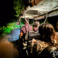 3D2N Borneo Rainforest Lodge & Blue Rings Reef – Danum Valley Eco-Adventure