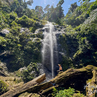 3D2N Blue Rings Reef & Borneo Rainforest Lodge – Danum Valley Eco-Adventure