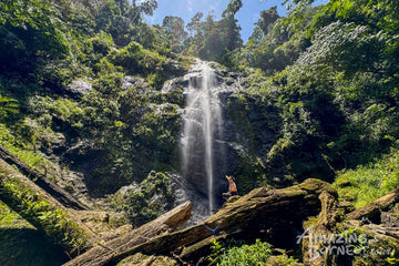 3D2N Blue Rings Reef & Borneo Rainforest Lodge – Danum Valley Eco-Adventure
