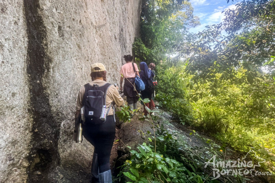 4D3N Borneo Rainforest Lodge & Blue Rings Reef – Danum Valley Discovery