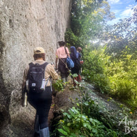 4D3N Borneo Rainforest Lodge & Blue Rings Reef – Danum Valley Discovery