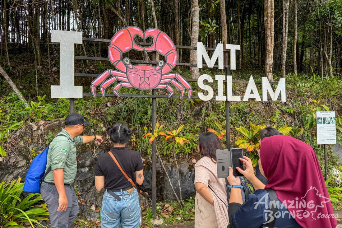 4D3N Blue Rings Reef & Borneo Rainforest Lodge – Danum Valley Discovery