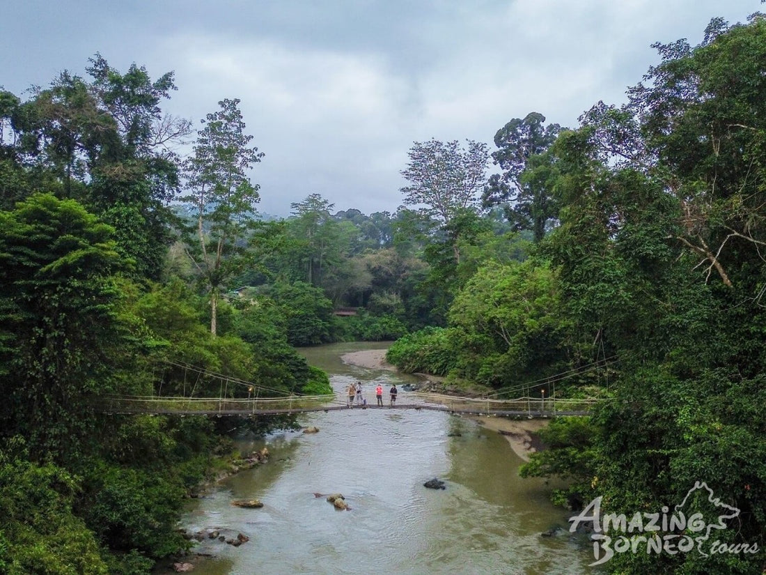 3D2N Danum Valley Field Centre