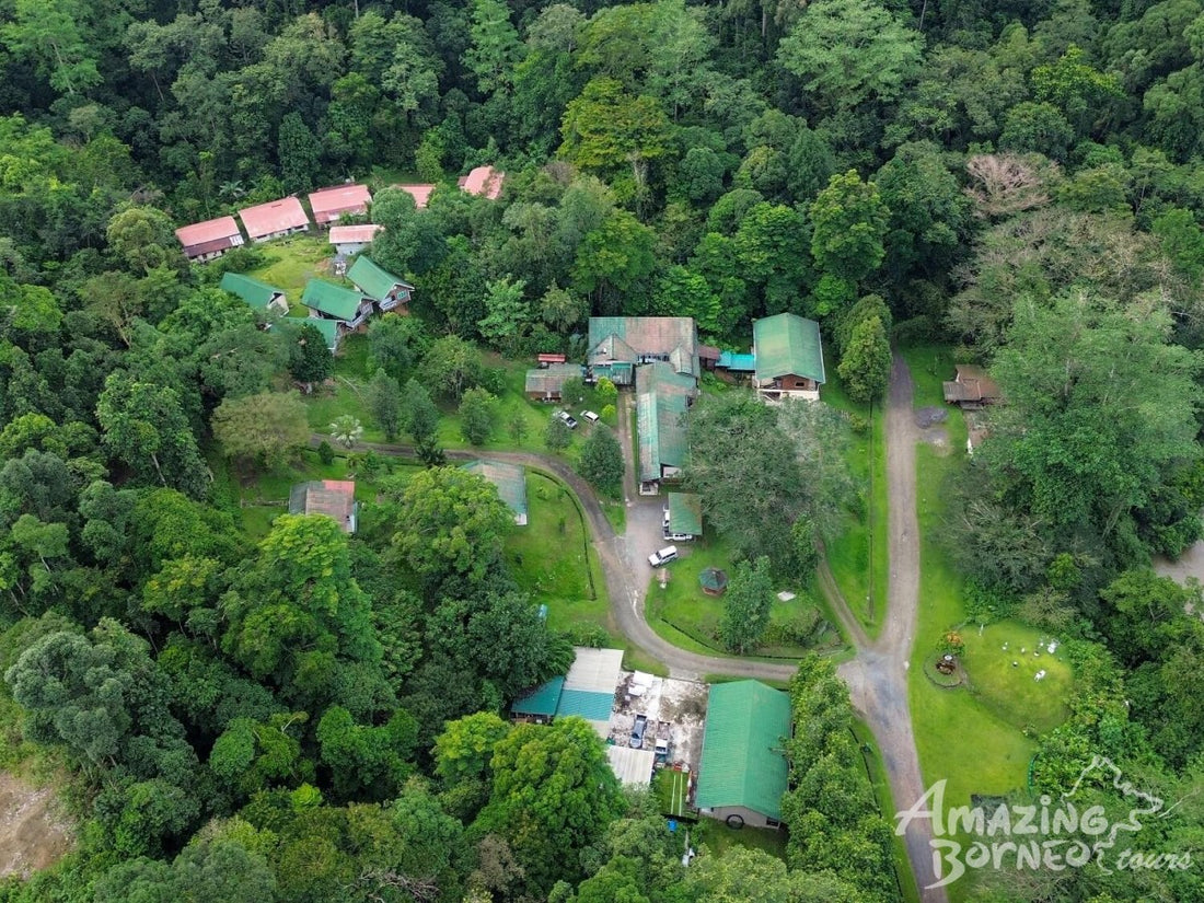 5D4N Wings & Wonder: Bird Watching Tour at Danum Valley Field Centre