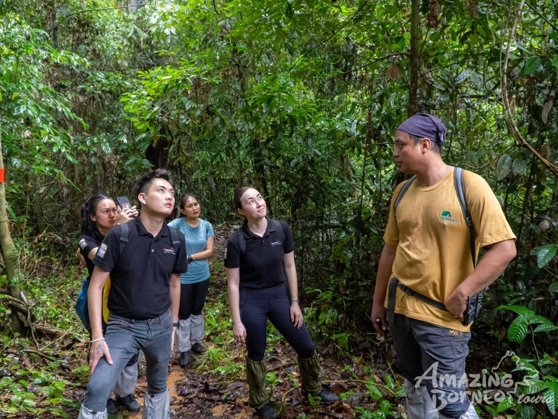 3D2N Danum Valley Field Centre